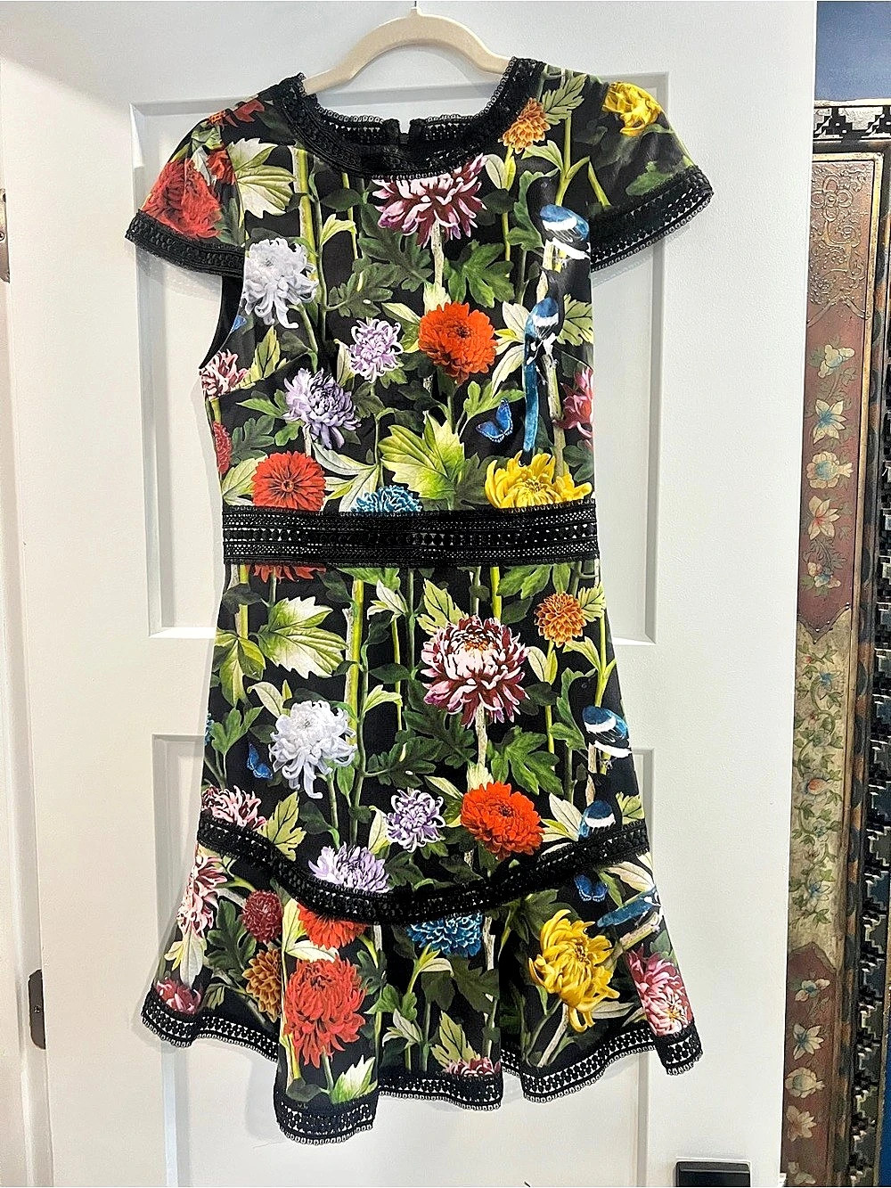 alice + olivia Janey Bird Floral Print Fit & Flare Dress Size 4